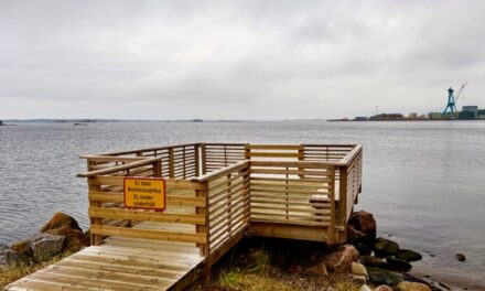 Portaat poistettiin Mummolaiturilta – uimareilta sataa kritiikkiä