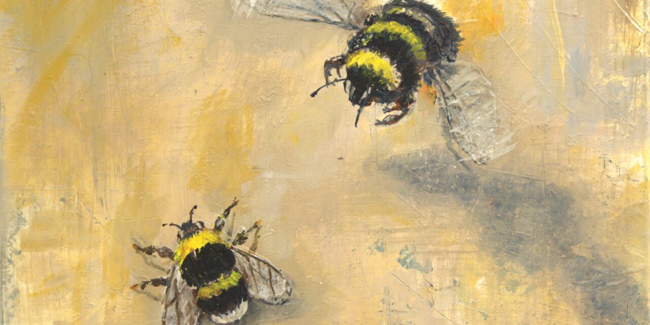 Club con Color-taitelijaryhmän ”Contrast” 9.-27.1.2026 Kaupungintalolla