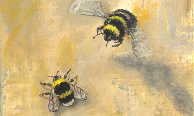 Club con Color-taitelijaryhmän ”Contrast” 9.-27.1.2026 Kaupungintalolla